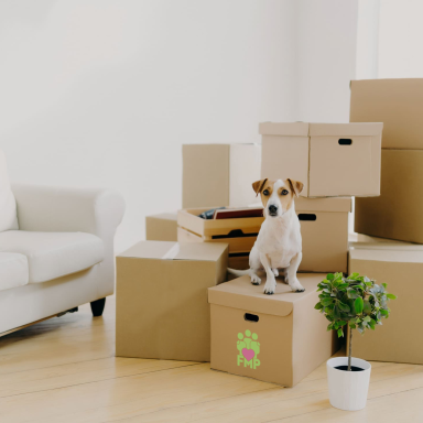 How to Pack Like a Pro with Family Movers Pro